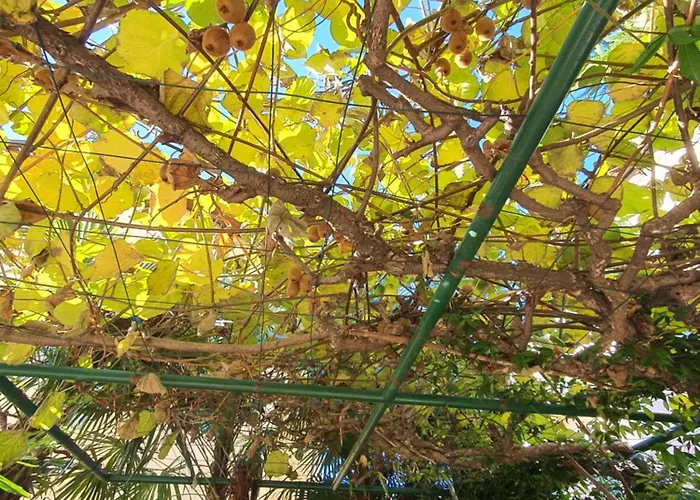 3 Bedroom Mozart Lägenhet *