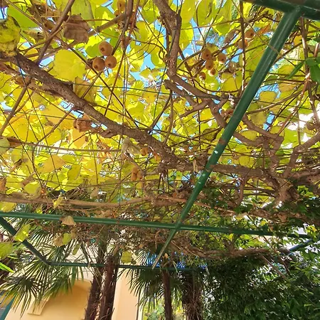 3 Bedroom Mozart Апартаменты *